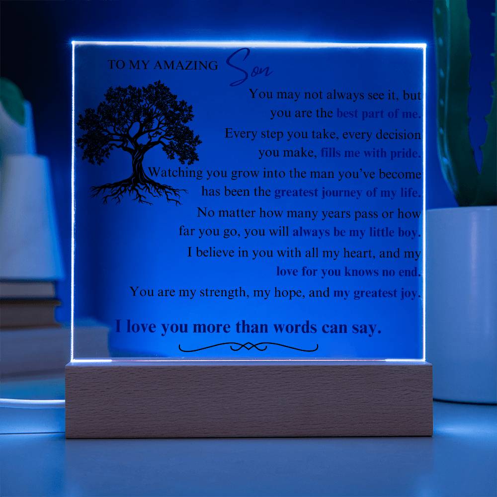 To My Son: You Are the Best Part of Me - LED Plaque