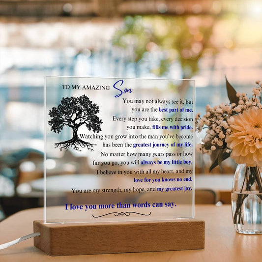 To My Son: You Are the Best Part of Me - LED Plaque