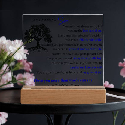 To My Son: You Are the Best Part of Me - LED Plaque