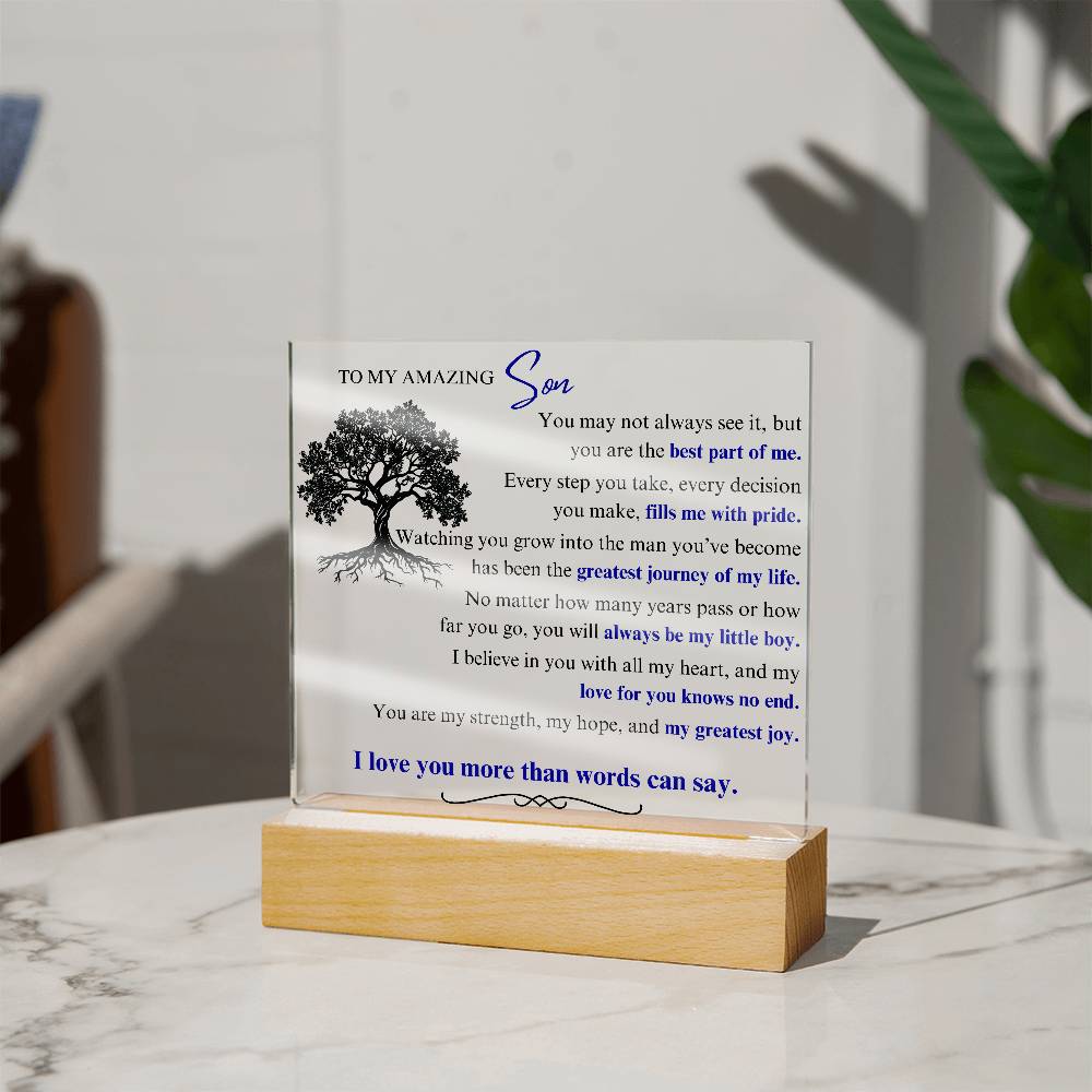 To My Son: You Are the Best Part of Me - LED Plaque