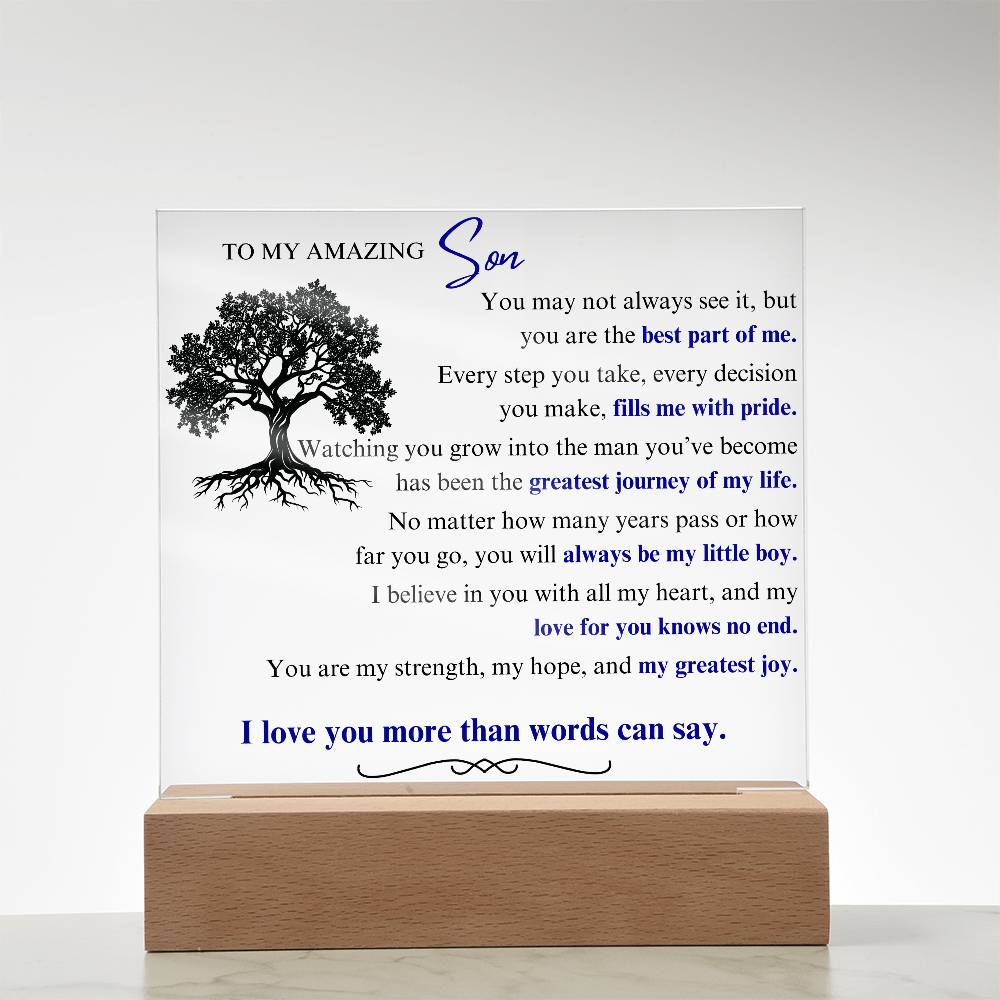 To My Son: You Are the Best Part of Me - LED Plaque