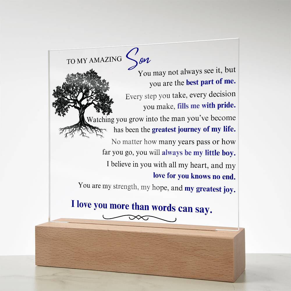 To My Son: You Are the Best Part of Me - LED Plaque