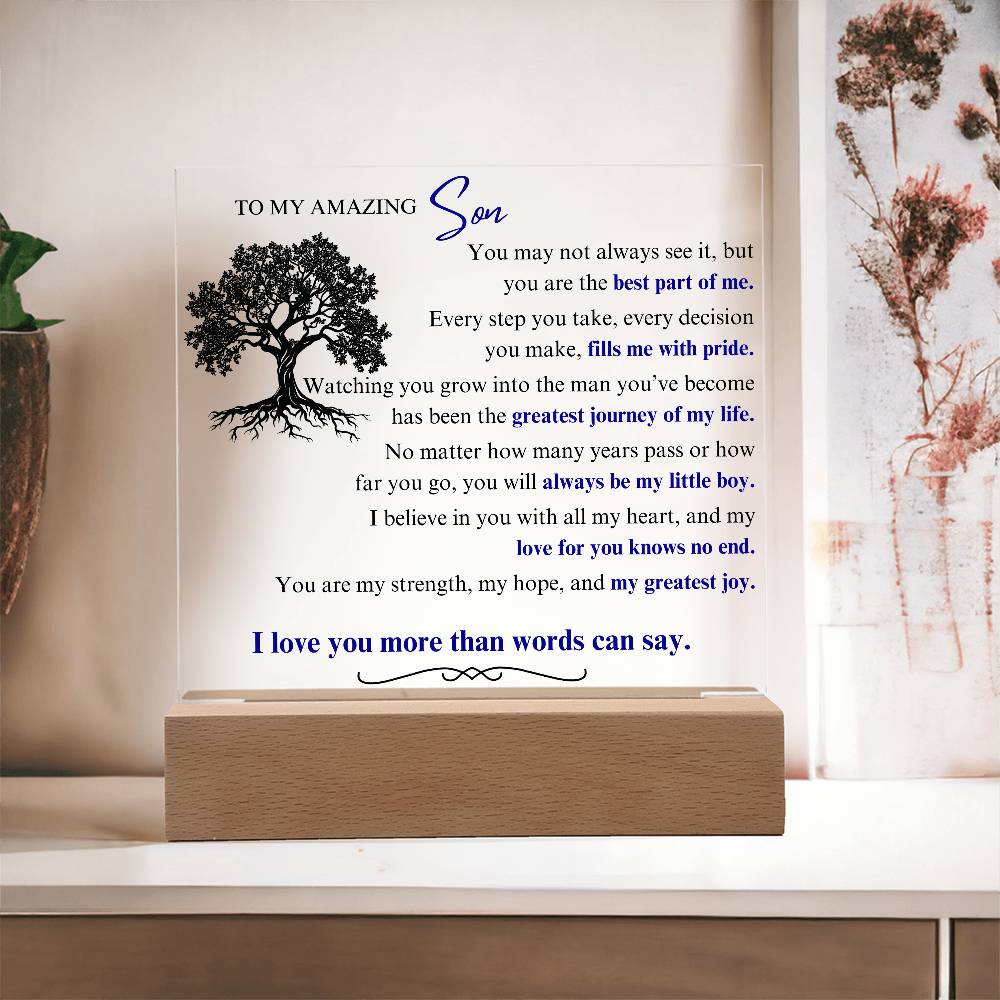 To My Son: You Are the Best Part of Me - LED Plaque