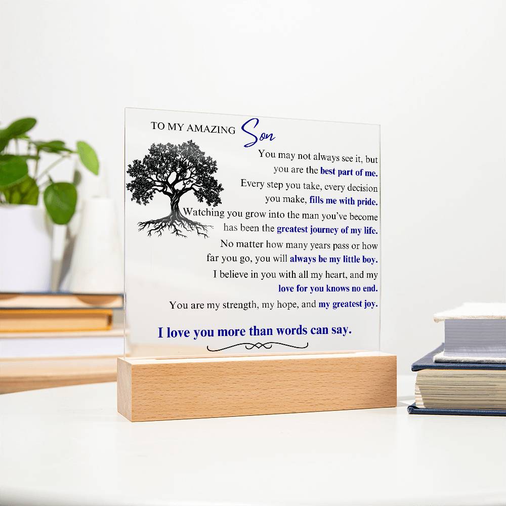 To My Son: You Are the Best Part of Me - LED Plaque