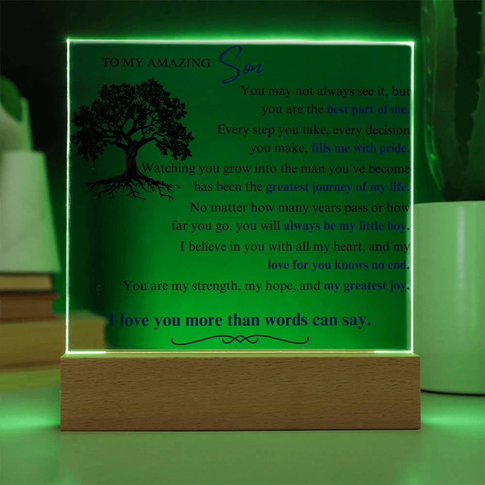 To My Son: You Are the Best Part of Me - LED Plaque