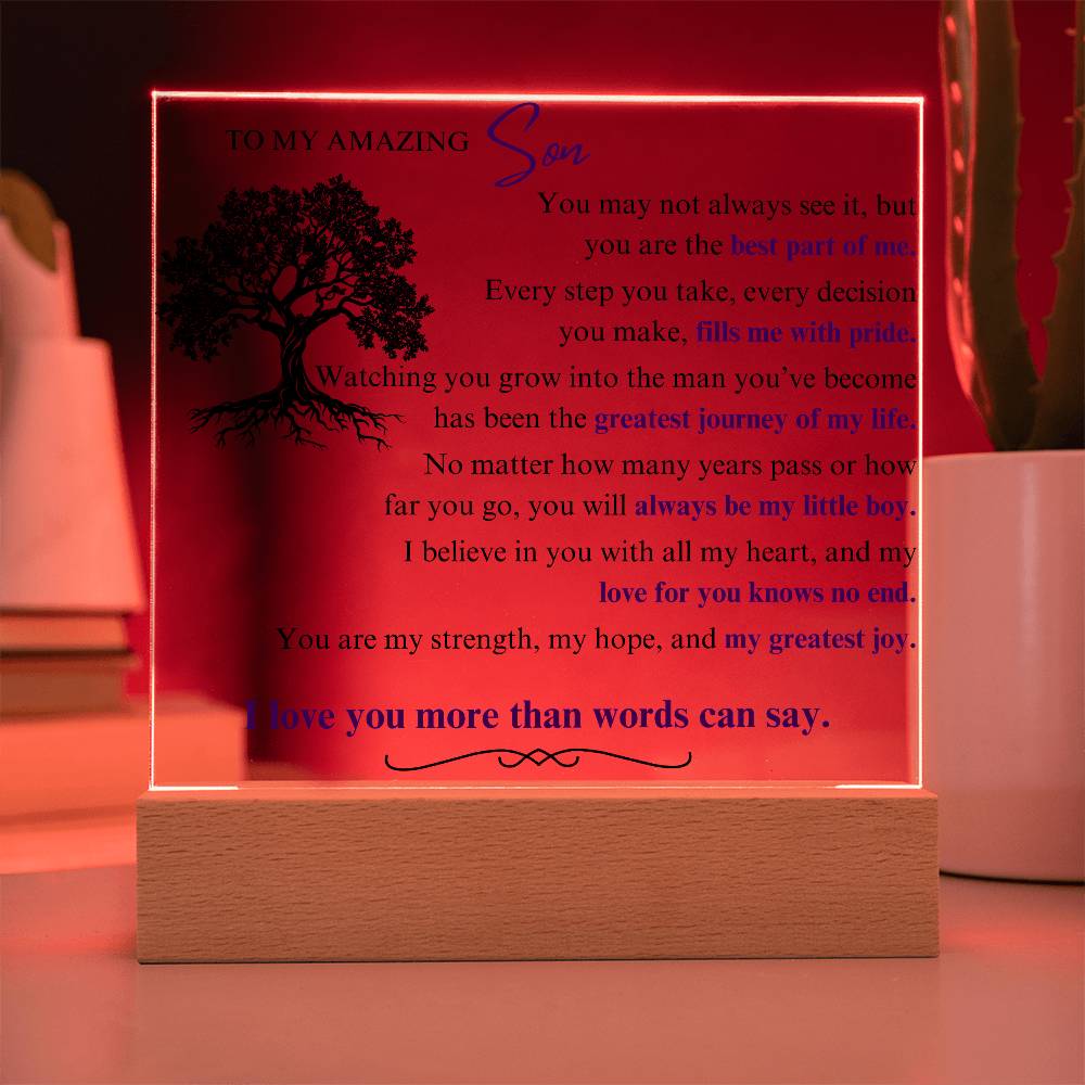 To My Son: You Are the Best Part of Me - LED Plaque