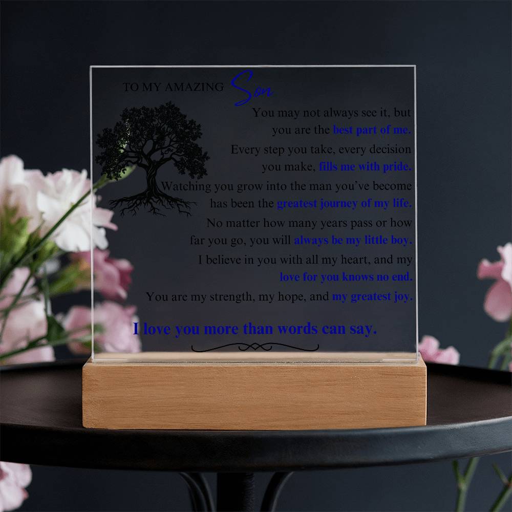 To My Son: You Are the Best Part of Me - LED Plaque